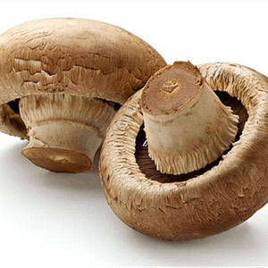 champiñon portobello ecologico mercado de productores directo a casa